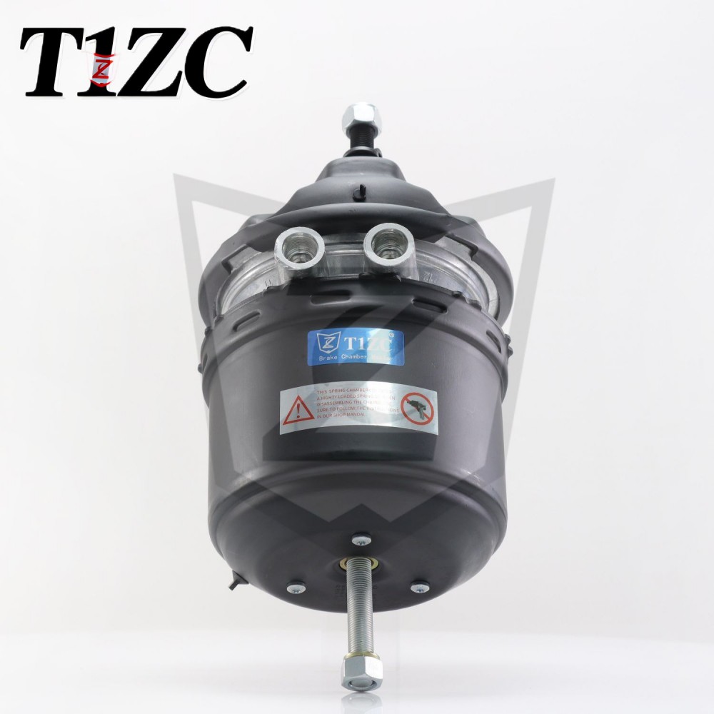 Scaoileadh Rialta T30 DP DISC DISC SUROMBER CÚL